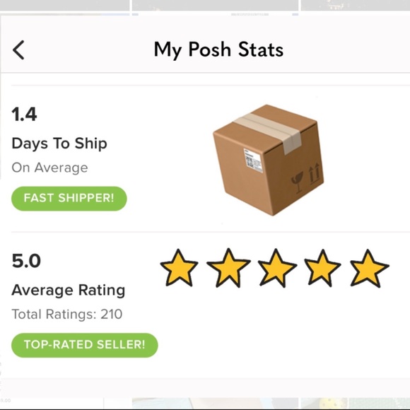 Adia Kibur Multicolored Gem Necklace - Picture 11 of 11